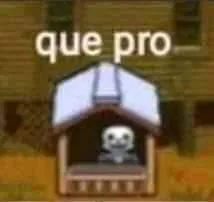 que_pro.png