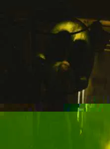 image.png image.png