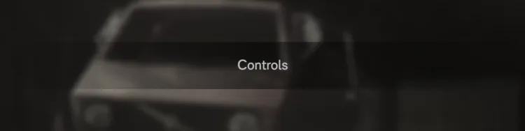 controls.png