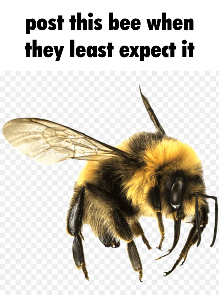 caption_2.png