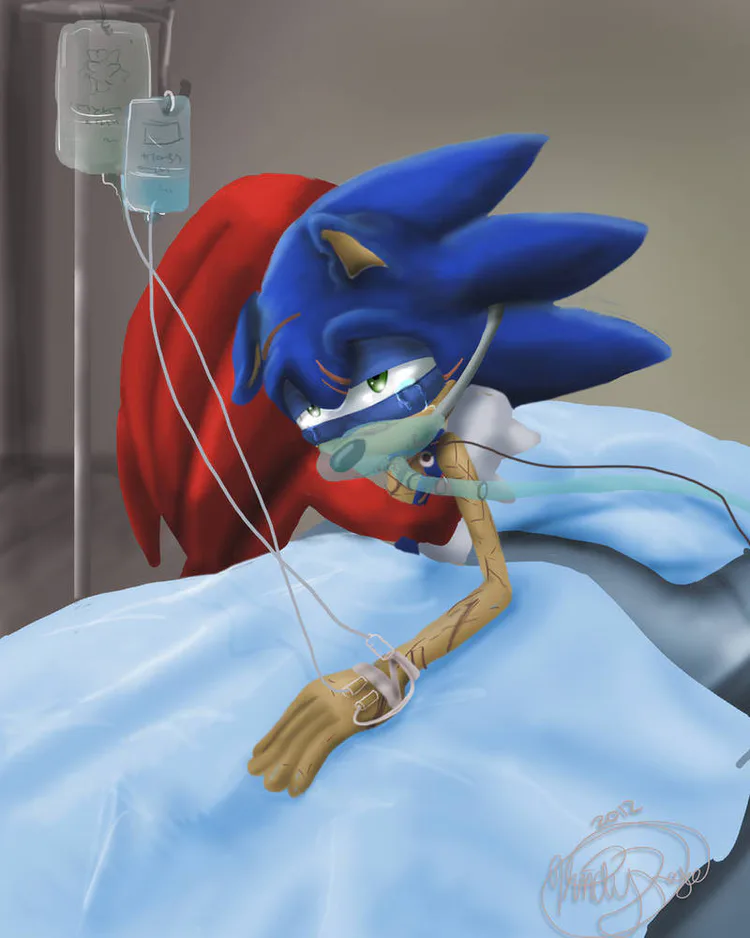 injured_sonic_by_called1_for_jesus_d4njdmm-pre.jpg