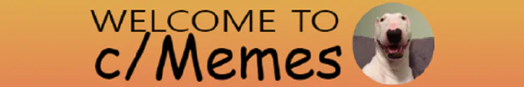 memesbanner-jzbzqzgq.png