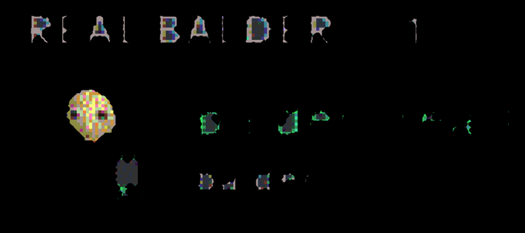 real_balder.png