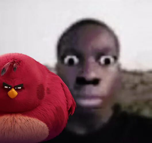 angrybird.png