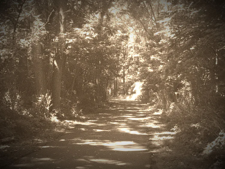pic_5.jpg pic_5.jpg