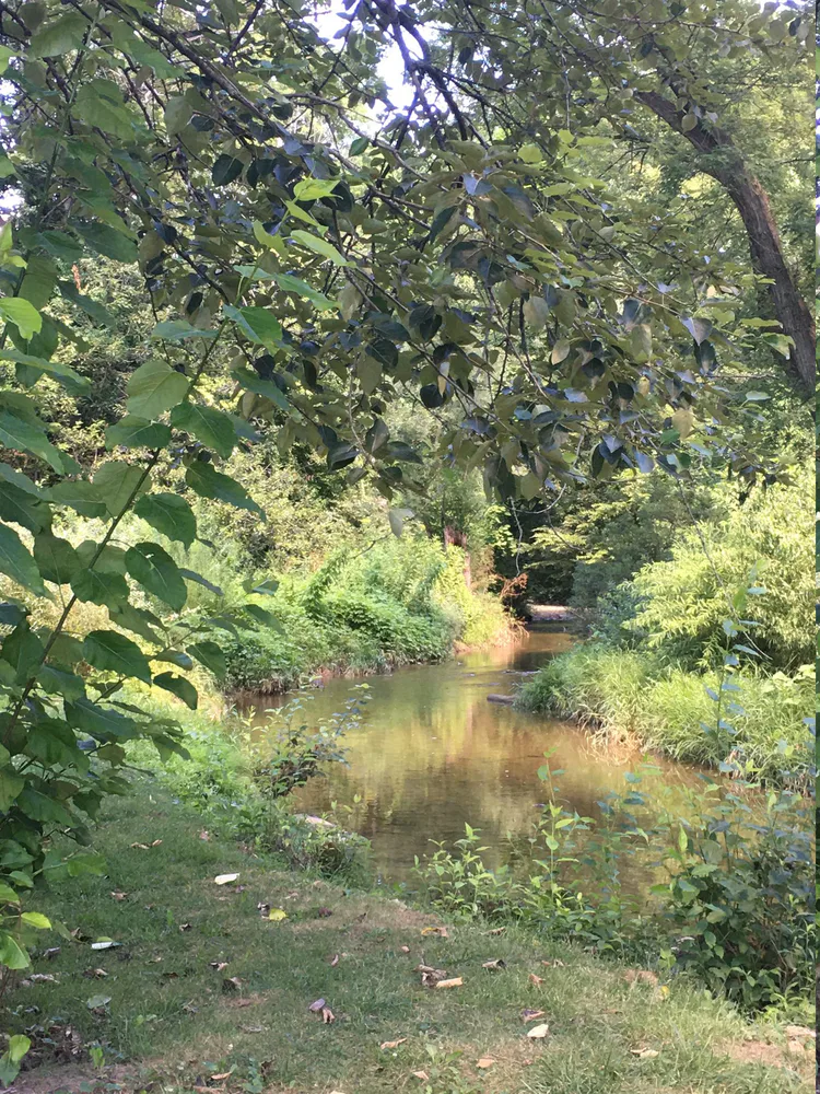 landscape_1.jpg landscape_1.jpg