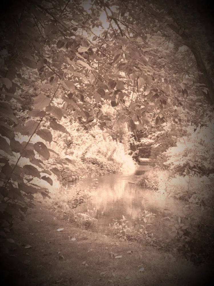 pic_6.jpg pic_6.jpg