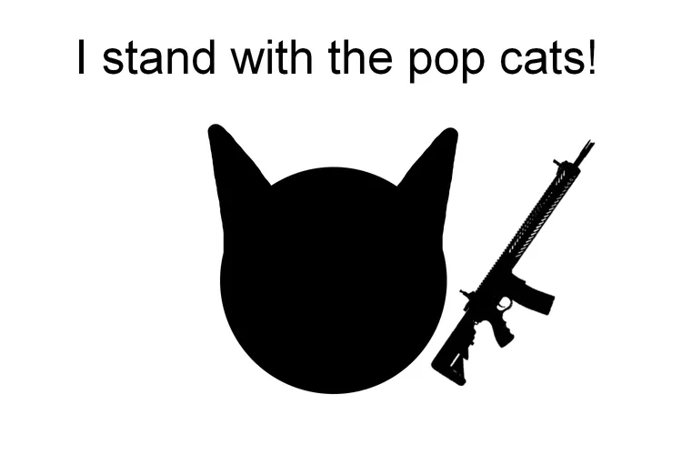 i_stand_with_the_pop_cats.png