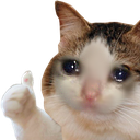 like_del_gato_sad_1.png