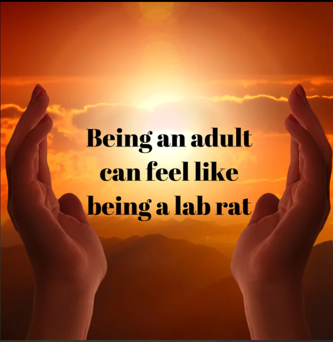 image.png image.png