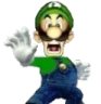 kungfuluigi.png