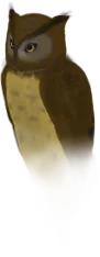 5d091677b6ffc.png 5d091677b6ffc.png