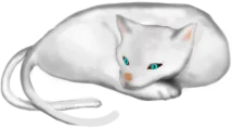5d09167858ab0.png 5d09167858ab0.png