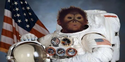 spacemonkey.png