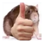 1671558944201-1-iqbmrkjr.png