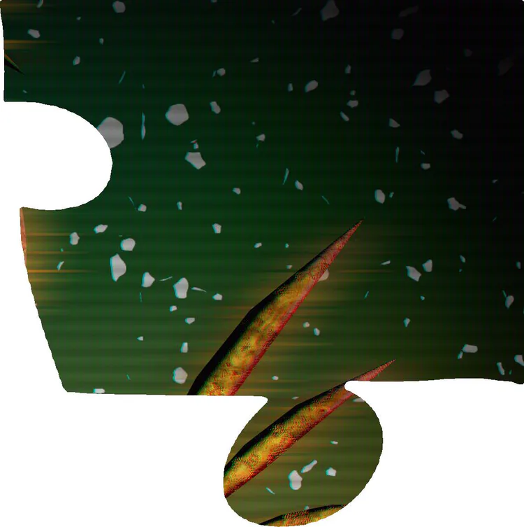 5d0a924a134dc.jpg
