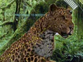 ../../../../../games/strategy-…