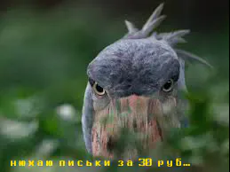 17766411-3sacmvkf-v4-px5khrpm.webp 17766411-3sacmvkf-v4-px5khrpm.webp