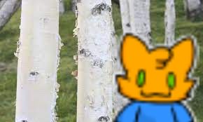 descarga_1.png descarga_1.png