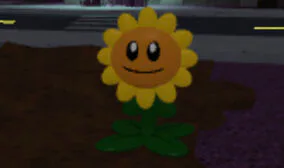 sunflower.jpg