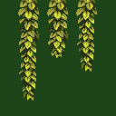 jungle_update_assets_extra4_2023_07_05.png