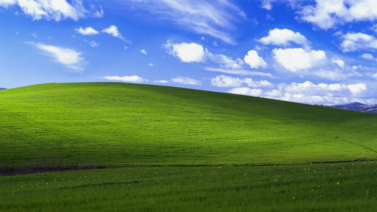 bliss.webp