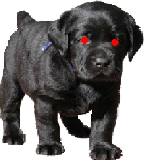 evil_puppy.png