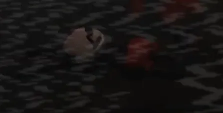 untitled.png