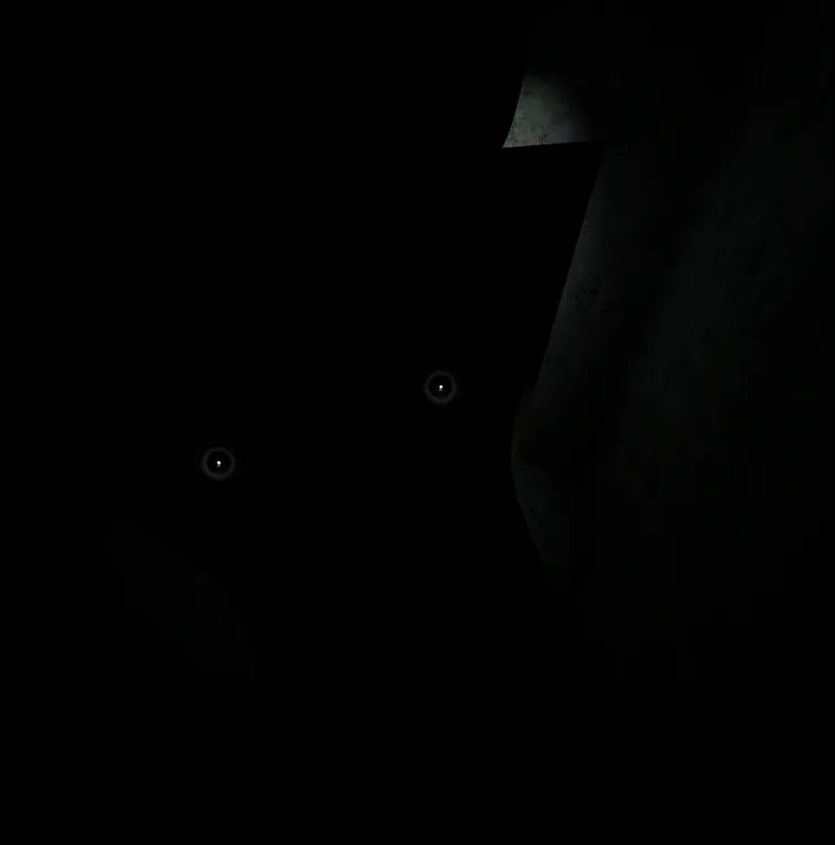 bluecam3.webp