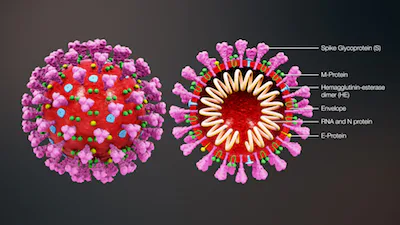 3d_medical_animation_coronavirus_structure.jpg