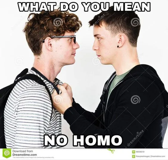 what_do_you_mean_no_homo.png