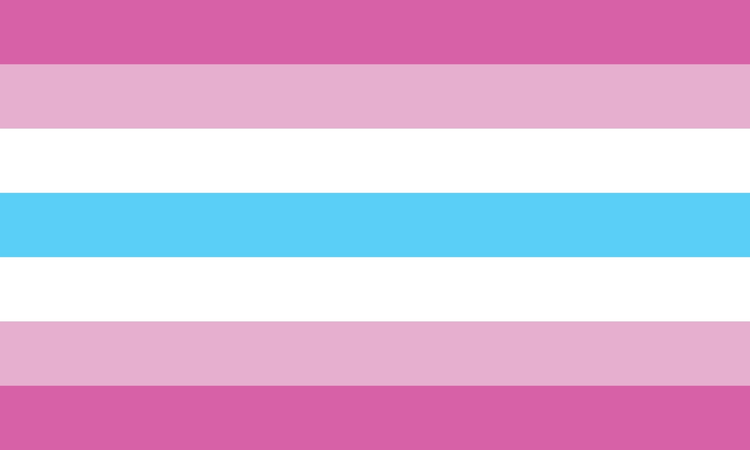 2560px-femboy_flag-svg_compressed6722267023961037397.jpg