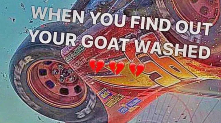 goatwashed.jpg