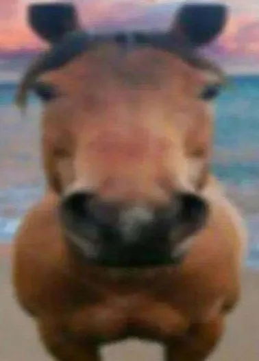 hors.jpg