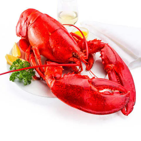 4-lb-6-lb-north-atlantic-live-lobster-293465.jpg