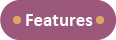 features.png