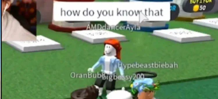 amdancerayla.webp amdancerayla.webp