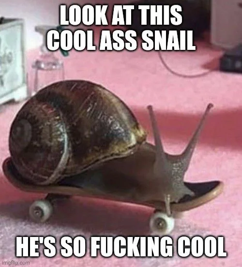 cool_ass_looking_snail.jpg