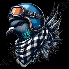 funny-biker-pigeon-in-helmet--i_14138542287111413851.png