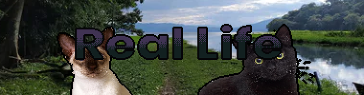 banner8.png