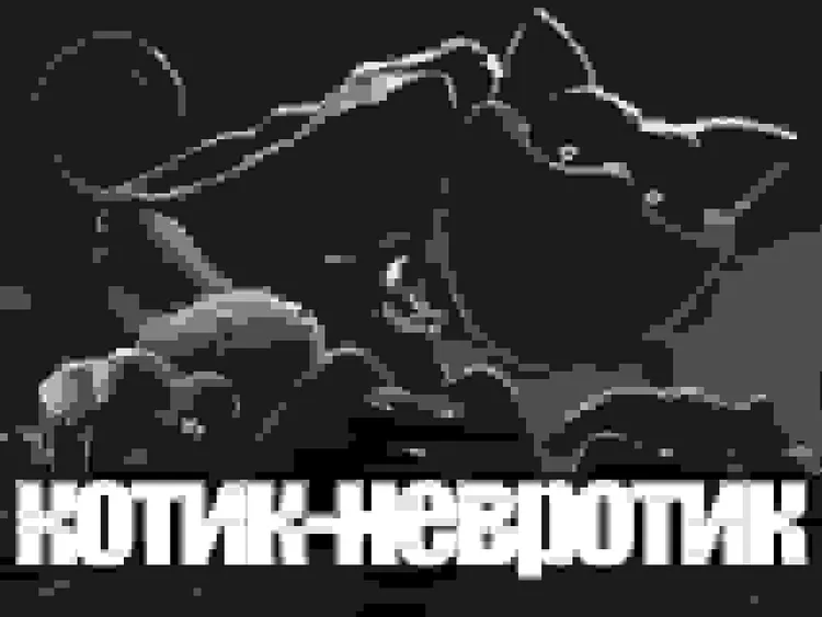 pm_39826_kotik-nevrotik.jpg pm_39826_kotik-nevrotik.jpg