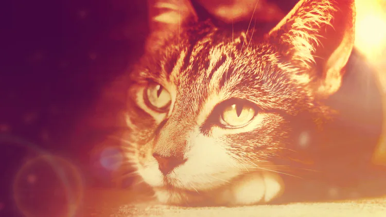 img_20250217_185757.png img_20250217_185757.png