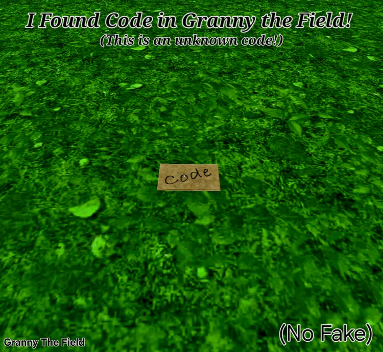 screenshot_20250223_175943_granny_the_field.jpg screenshot_20250223_175943_granny_the_field.jpg