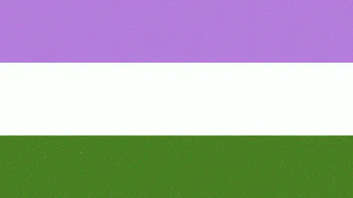 genderqueerflag-500x281.gif genderqueerflag-500x281.gif