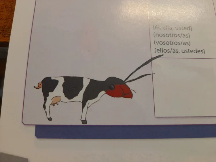 20241125_154840_compressed8409153858322288594.jpg 20241125_154840_compressed8409153858322288594.jpg
