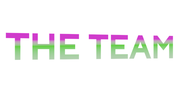 the_team.png