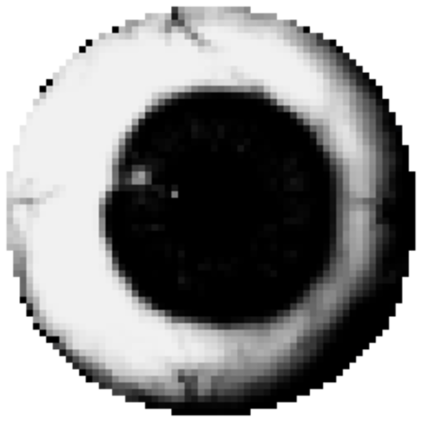 prunsel.png prunsel.png
