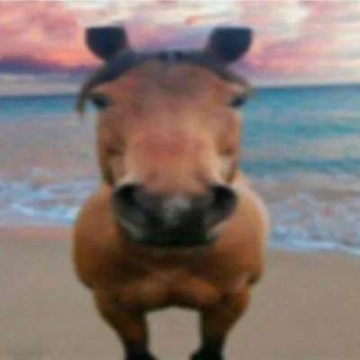coolest_fucking_horse_ever.jpg coolest_fucking_horse_ever.jpg