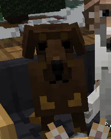 image.png image.png