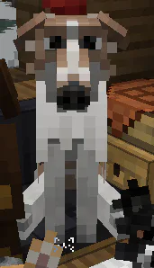 image.png image.png